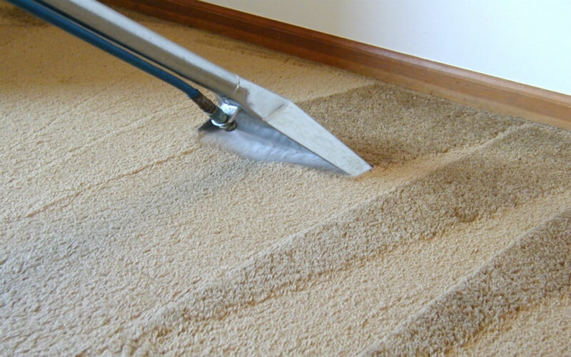Carpet